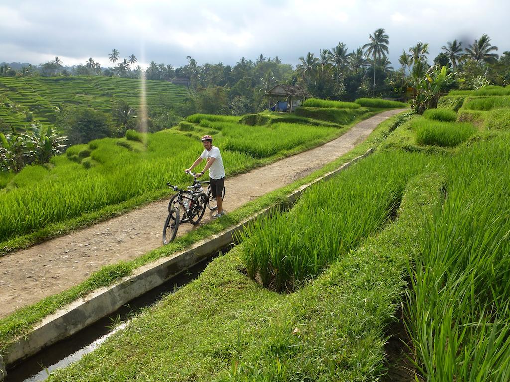 Sang Giri Mountain Tent Resort Jatiluwih Ngoại thất bức ảnh