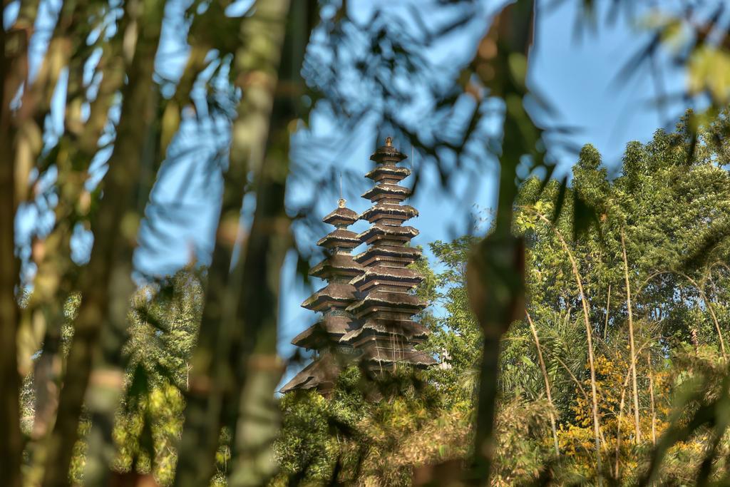 Sang Giri Mountain Tent Resort Jatiluwih Ngoại thất bức ảnh