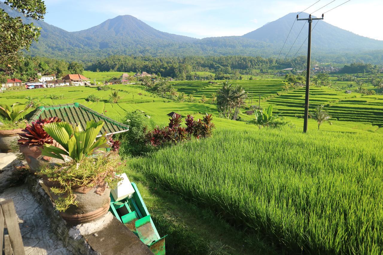 Sang Giri Mountain Tent Resort Jatiluwih Ngoại thất bức ảnh