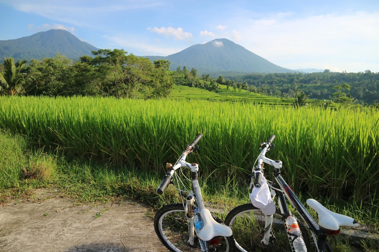 Sang Giri Mountain Tent Resort Jatiluwih Ngoại thất bức ảnh